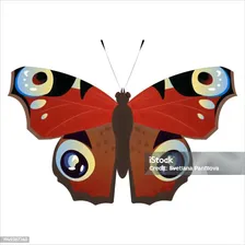Векторная Бабочка Aglais Io Бабочка И Насекомое Летняя Разноцветная Бабочка — стоковая векторная графика и другие изображения на тему Ио - спутник