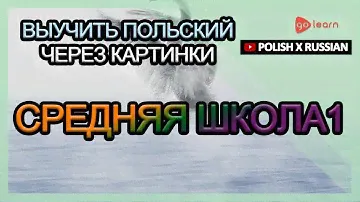 Выучить польский через картинки |польский словарь средняя школа1 | Golearn
